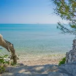 Tropical Alykes (Zakynthos)