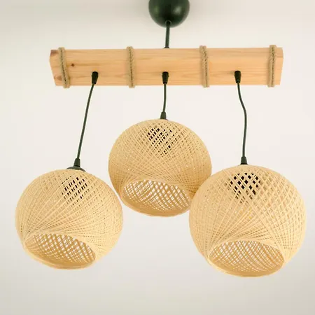 Tropical أليكيس