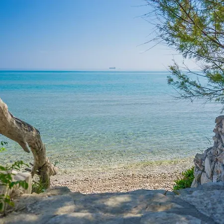 Tropical Alykes (Zakynthos)